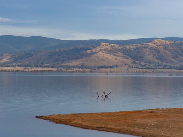 Late afternoon sun on rolling hills and exposed dead trees in lake