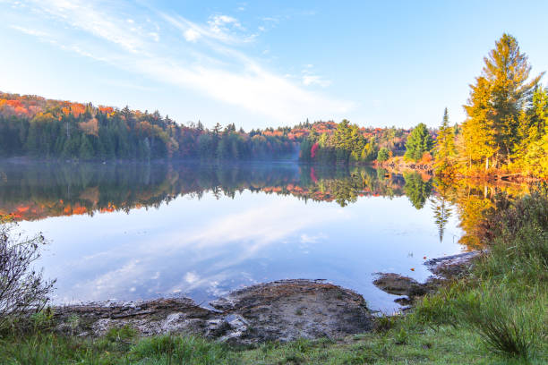 istock Tea Lake, Algonquin Park Ontario 2195951182