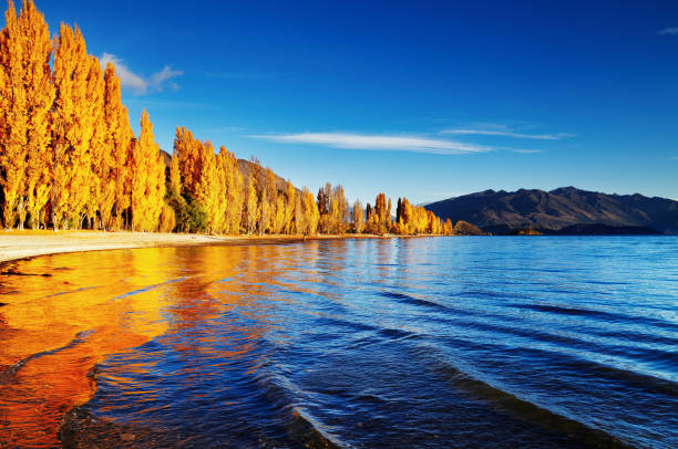Autumn landscape, lake Wanaka, New Zealand