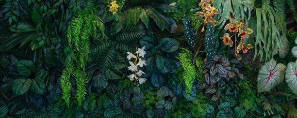 istock Full Frame of Green Leaves Pattern Background. 2195958807