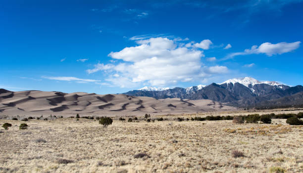 istock Dunefield in Great Sand Dunes National Park and Preserve 2195958833