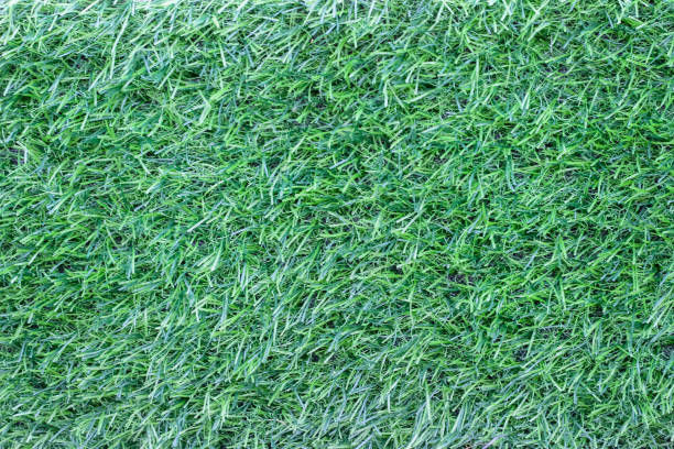istock Artificial green grass field flooring texture top view summer background 2195960510