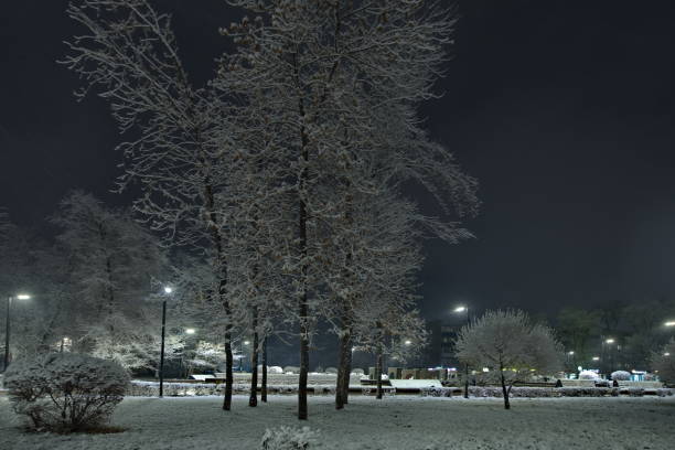 Warm streetlights illuminate a quiet snowy path during a dark winter night