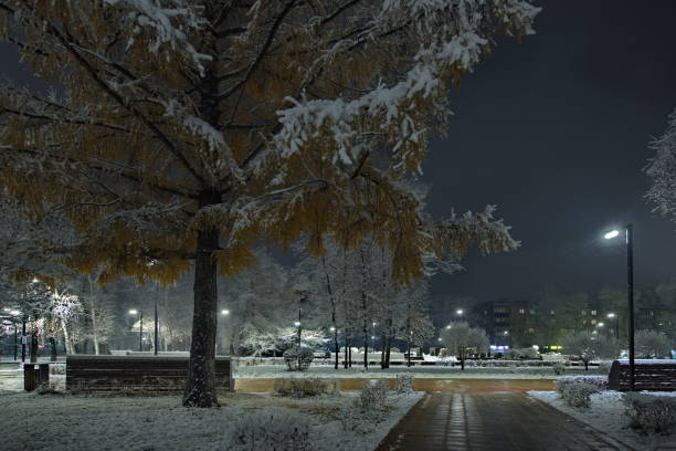 istock The first snow in the night park 2195961470