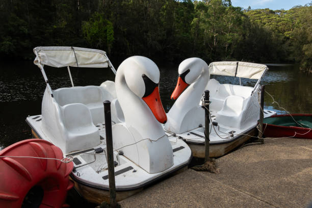 On a sunny, clear day, a whimsical swan-shaped pedal boat sits docked by the edge of a tranquil river. Its bright white design gleams against the calm water