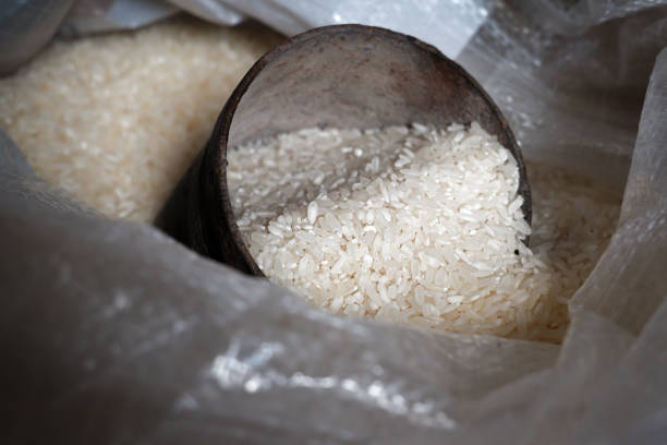 A close-up image showcasing fresh white rice in a metal measuring cup, placed inside a large open sack. Perfect for representing food, agriculture, or traditional market settings. Ideal for use in advertising or editorial content related to grains, the food industry, or everyday culinary themes. High-quality detail and natural lighting enhance its authentic appeal