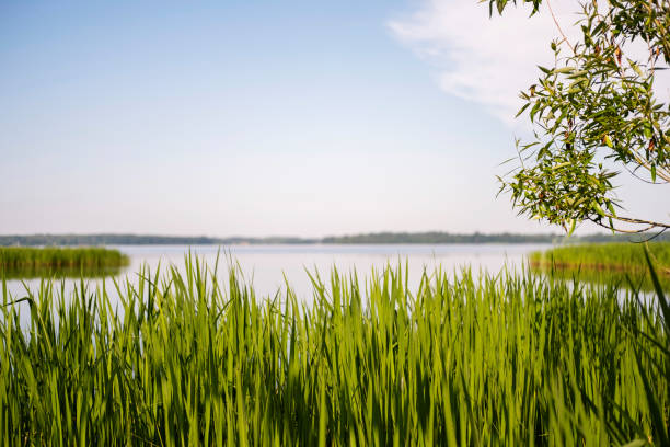 Images of a landscape with a river, blue sky.
