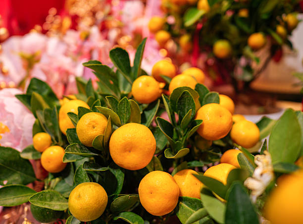 Menton, France - February 29, 2024: Street with stores during famous Lemon Festival (Fete du Citron) in Menton, French Riviera, France