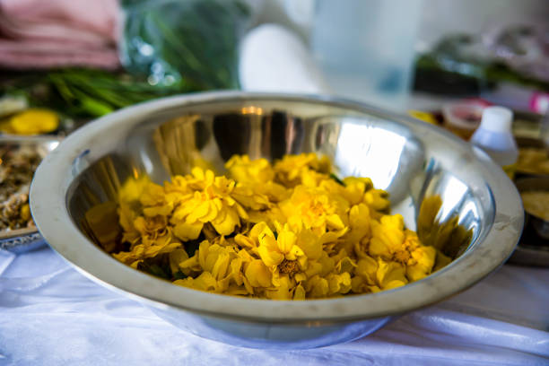 Authentic Indian food and snacks close up