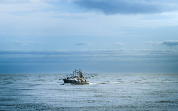 istock The Spit is a 5km long, relatively undeveloped, sandy isthmus starting at Main Beach and finishing at the seaway where Broadwater meets the Pacific Ocean. 2195973186