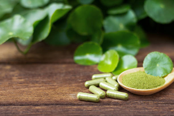 istock Gotu kola capsules, Centella Asiatica capsule 2195974577