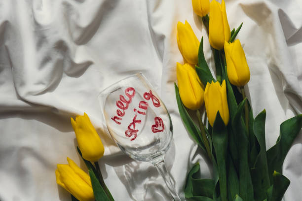 Beautiful white tulips in my garden in early springtime