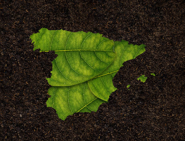 istock Spain map made of green leaves on soil background ecology concept 2195977793