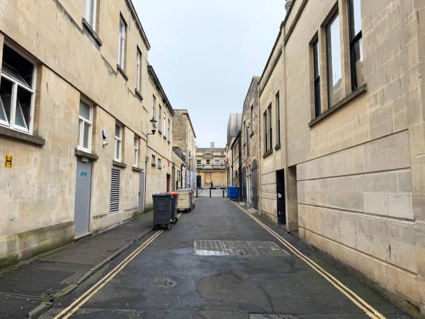 istock Wheelie bins on a street 2195984642