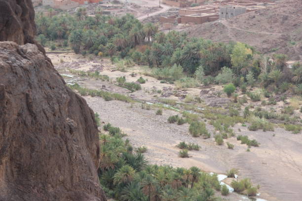 istock Fint Oasis Near Ouarzazate in Morocco 2195984826