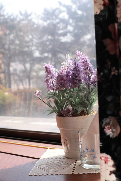 istock In a languid afternoon, warm sunshine and vases 2195986291