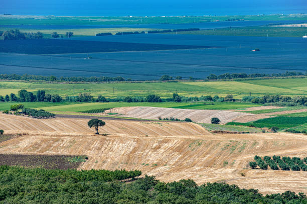 Mown fields and fruit trees near the coast of Erdek Bay