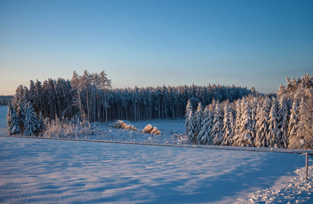on a cold winter day