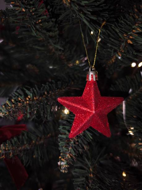 istock Red glittery star ornament hanging on christmas tree 2195993252