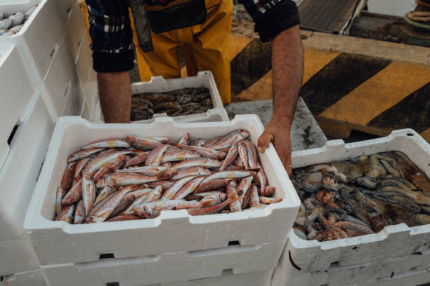 istock Mediterranean fisheries: fishermen unloading fish boxes 2195993650