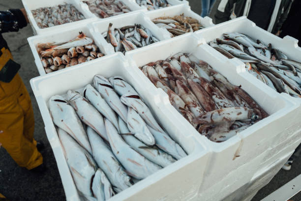 istock Mediterranean fisheries: trawlers at the harbor 2195993651