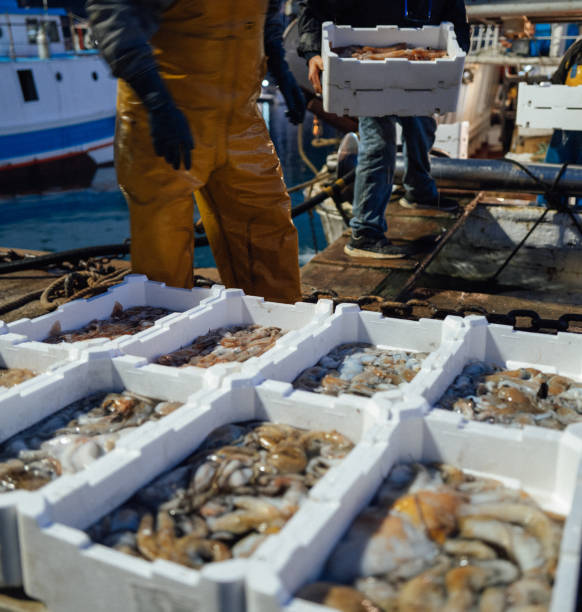 Typical Mediterranean Sea small artisanal fisheries. Trawlers at the harbor of Civitavecchia