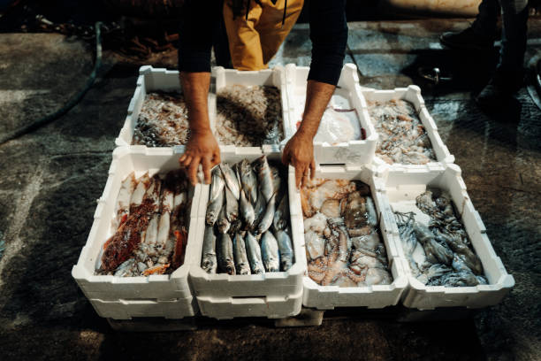 Mediterranean fisheries: fishermen unloading fish boxes