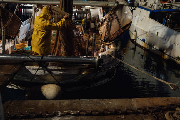 Typical Mediterranean Sea small artisanal fisheries. Trawlers at the harbor of Civitavecchia