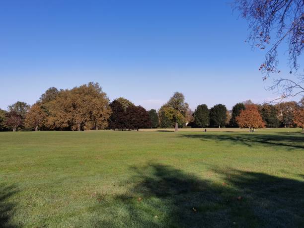 istock Autumn in Regent's Park, London, England 2195993988
