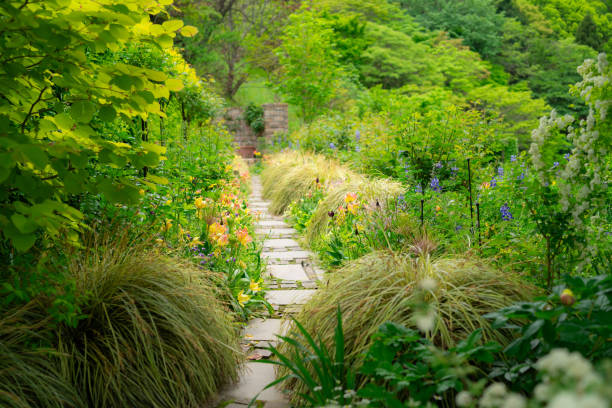 istock Beautiful ocean and plants landscape at Atami. 2195994403