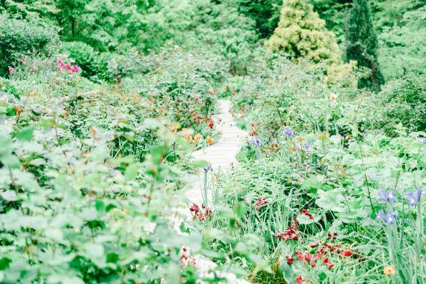 A beautiful Danish garden table and wicker chairs are surrounded by lush summer greenery and vibrant blooms. This tranquil scene evokes the charm of Denmark, particularly its vibrant May and June gardens.
