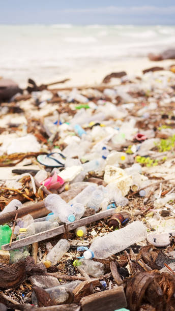 istock Plastic waste and debris on a polluted beach, ocean pollution, trash, garbage 2195996063