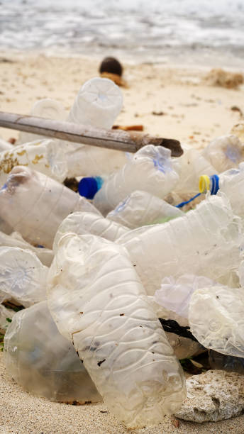 istock Discarded plastic water bottles on a sandy beach, ocean waves, marine debris 2195996069