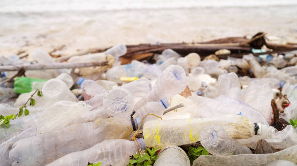istock single use plastic pollution on beach, water bottles, ocean and waves 2195996105