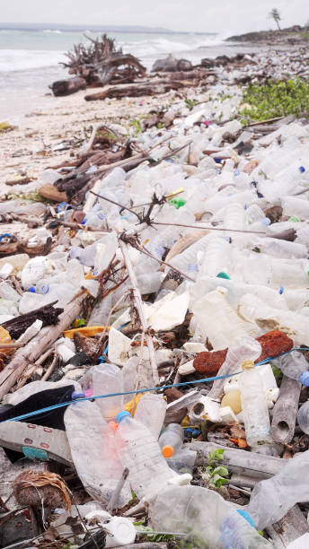 istock Nature pollution, plastic waste on beach, ocean in background 2195996118