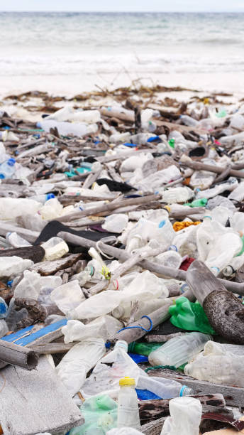 istock Marine debris, plastic waste on beach, polluted nature, dirty ocean pollution 2195996199