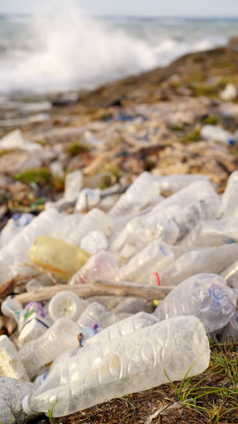 istock Plastic ocean pollution, single use water bottles, waves in the background 2195996281