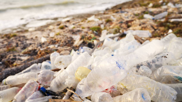 istock Plastic rubbish on the beach, ocean pollution, polluted environment trash 2195996289