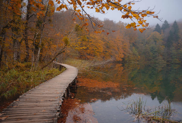 istock Plitvice Lakes in Croatia during autumn 2195998100