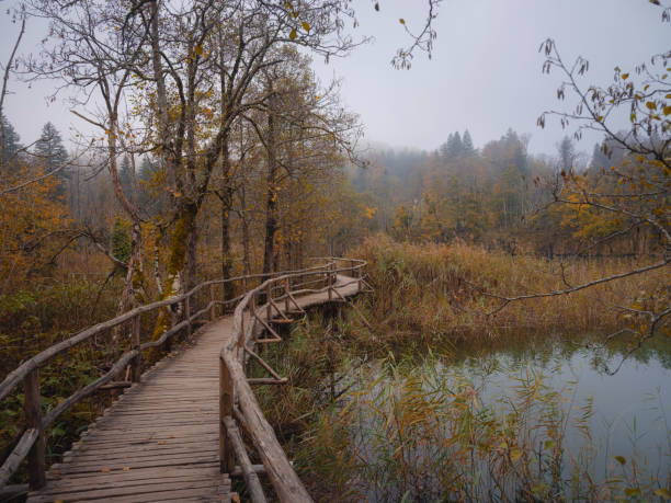 istock Plitvice Lakes in Croatia during autumn 2195998168
