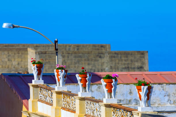 Vibrant tapestry of terracotta pots, bursting with pink blooms, adorns rooftop balcony. Ornate planters, holding delicate pink blossoms, grace the rooftops balustrade