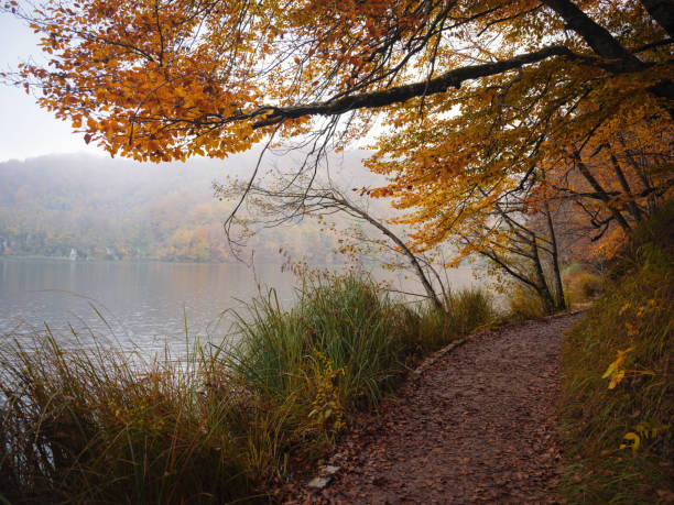 Plitvice Lakes in Croatia during autumn, showcasing stunning waterfalls, vibrant foliage, and crystal-clear waters, creating a magical and serene natural landscape perfect for nature lovers.