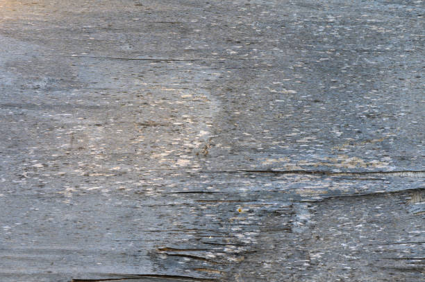 Sunlight glimmers off the weathered wooden surface, highlighting intricate patterns and inviting tranquility in nature.