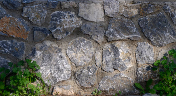 istock Natural stone wall adorned with vibrant greenery under the sunlight at a serene outdoor location 2196007827