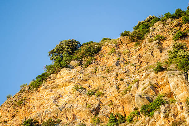 Sunlit cliffs, covered with branches of evergreen trees, in Petrovac na Moru, Montenegro.