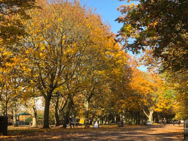 istock Autumn Landscape in London, England, UK 2196009199