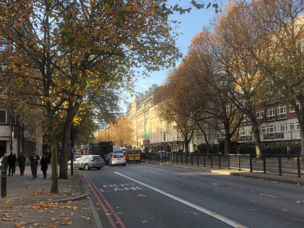 istock Autumn Landscape in London, England, UK 2196009216