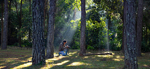 Photographer is taking photo while exploring the pine forest for with strong ray of sun light inside the misty pine forest for photography