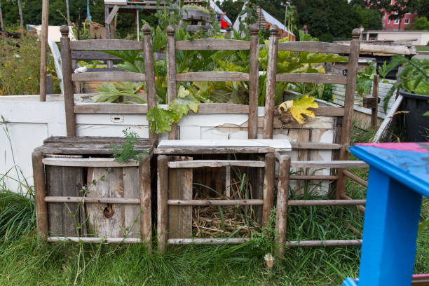 istock Old chairs in urban garden 2196010294