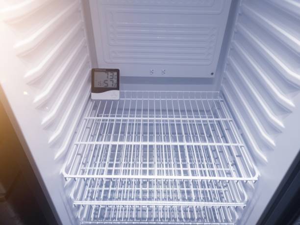 istock Inside the showcase there is a digital temperature and humidity control meter. 2196011033